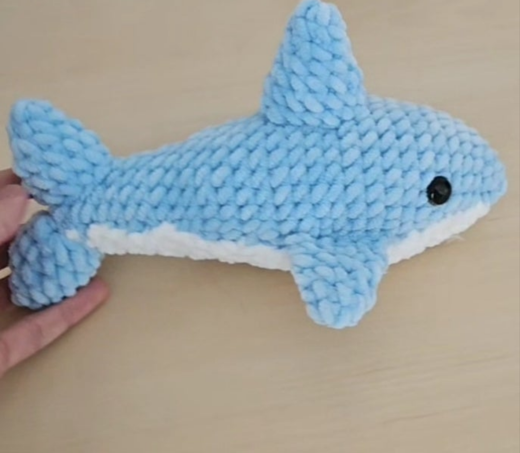 Requin 🦈