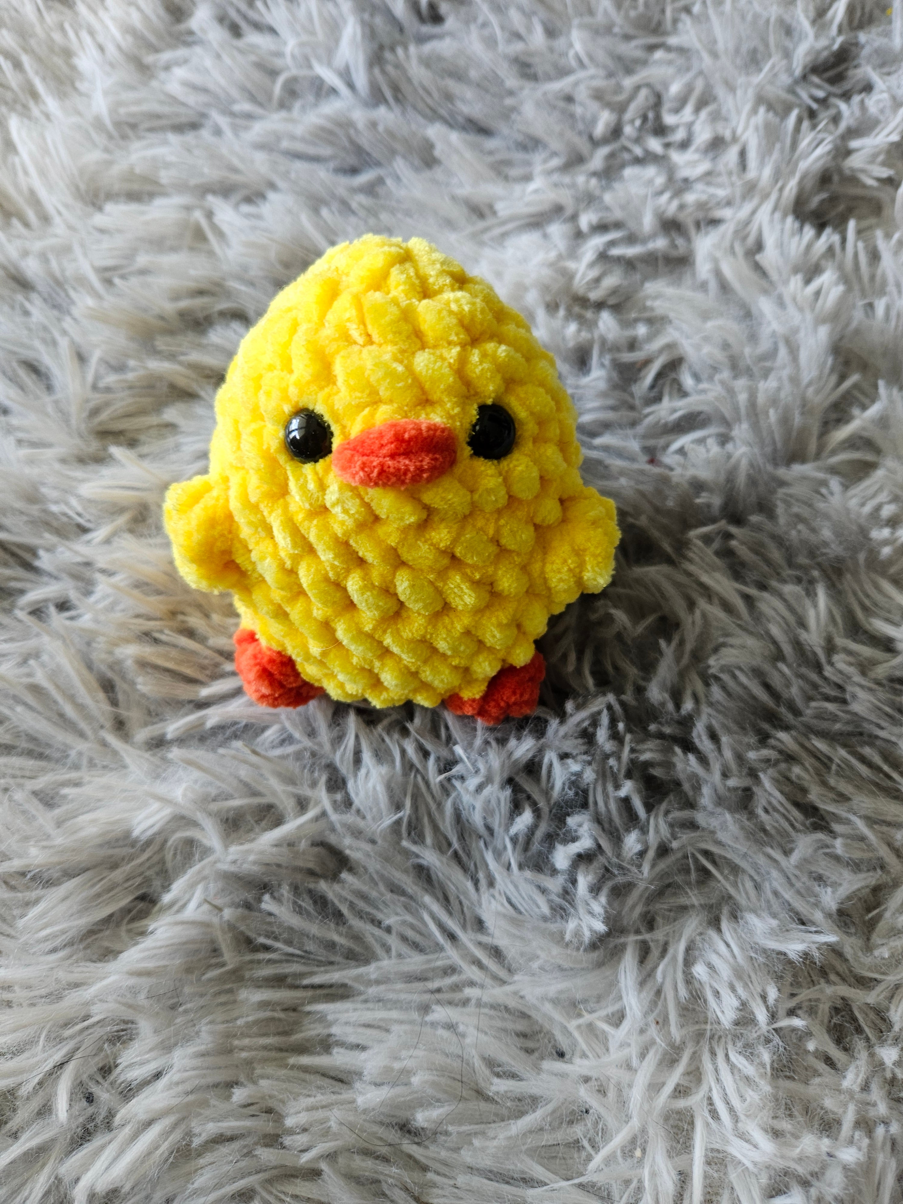 Poussin 🐤 🐥