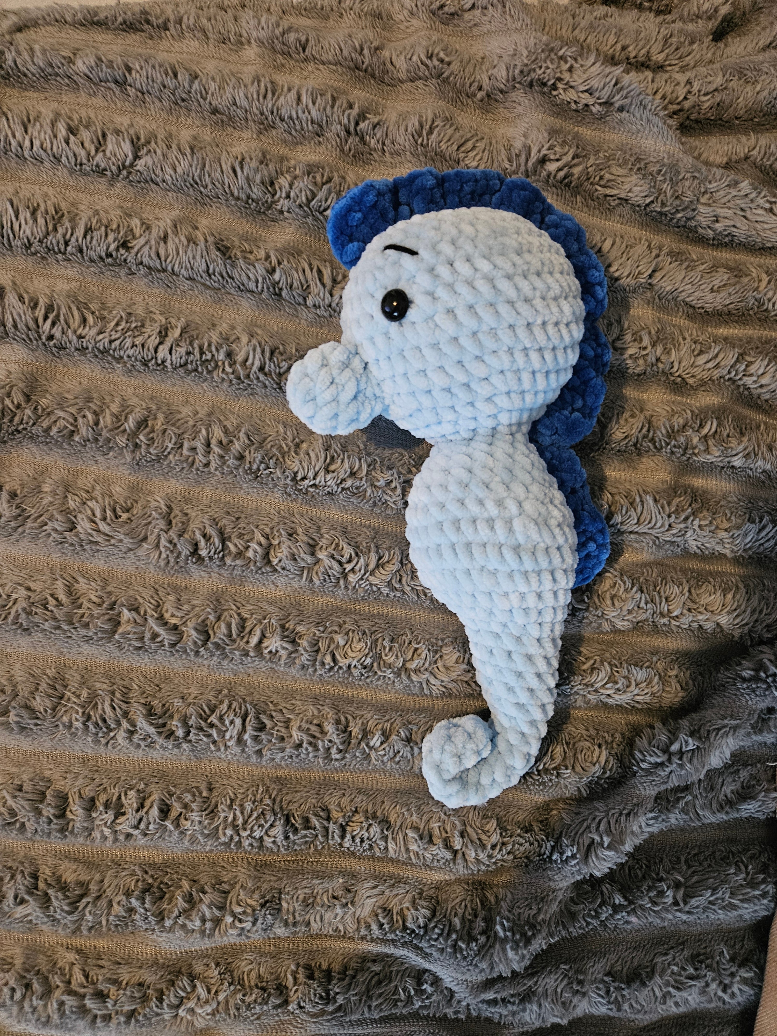 Hippocampe