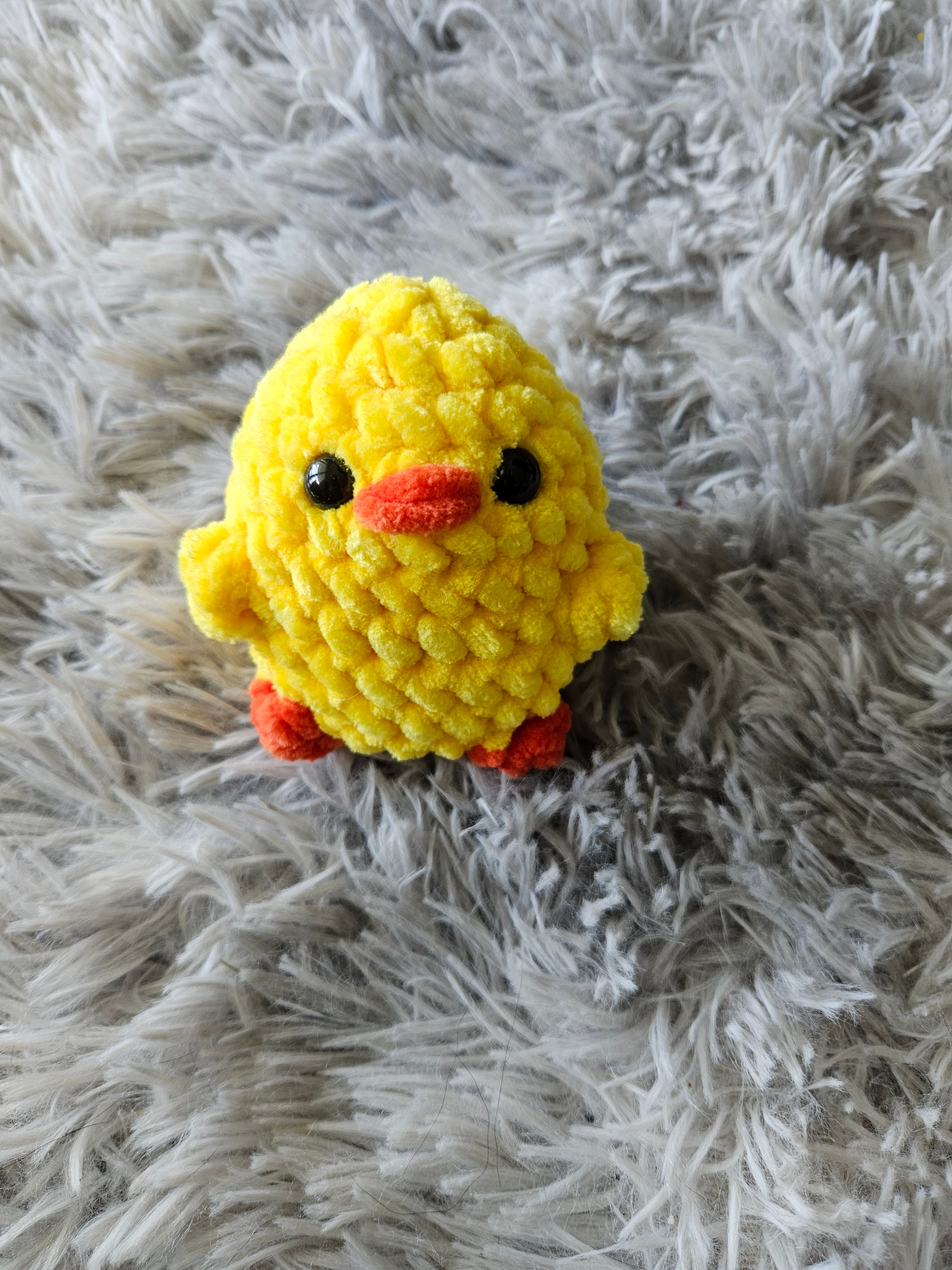 Poussin 🐤 🐥